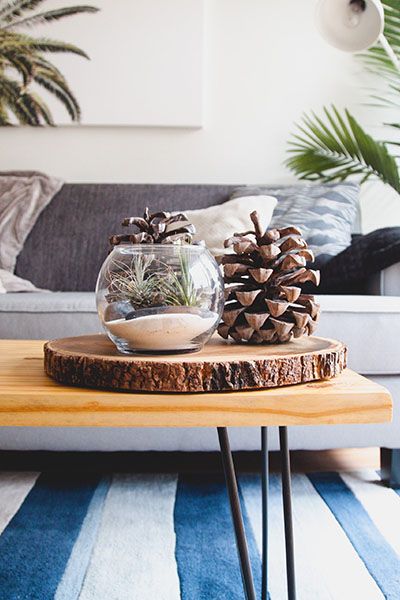 A bowl of pine cones on a table in a bright living room